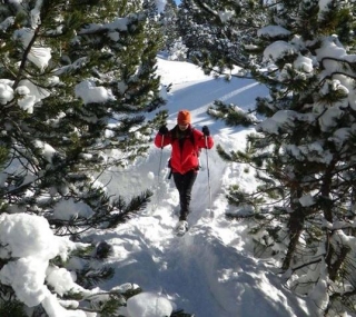 atravesando el bosque